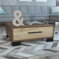 TUHOME - Mesa De Centro Marsella 1 Puerta Gales Y Duna