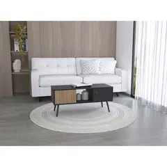 TUHOME - Mesa De Centro 2 Puertas - Negro 45x100x40 cm