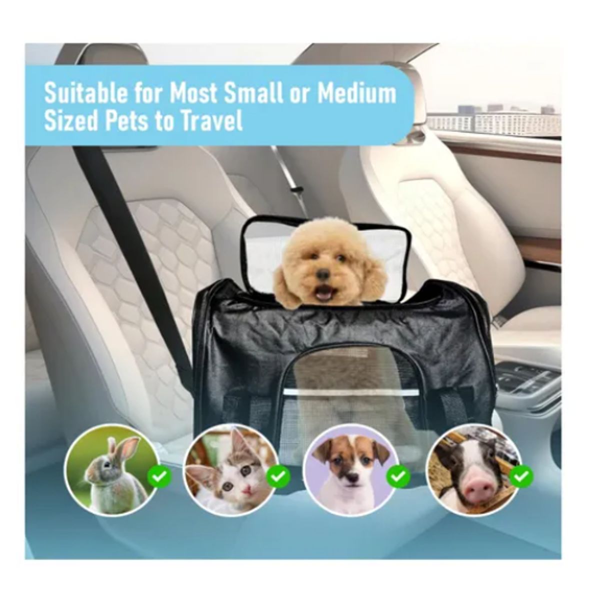 GENERICO - Bolso Transportador Mascota Para Perro Gato Respirable