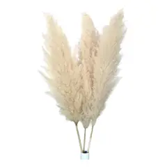KUANGYE - Ramillete De Pampas Naturales O Colas Zorro Para Decoración