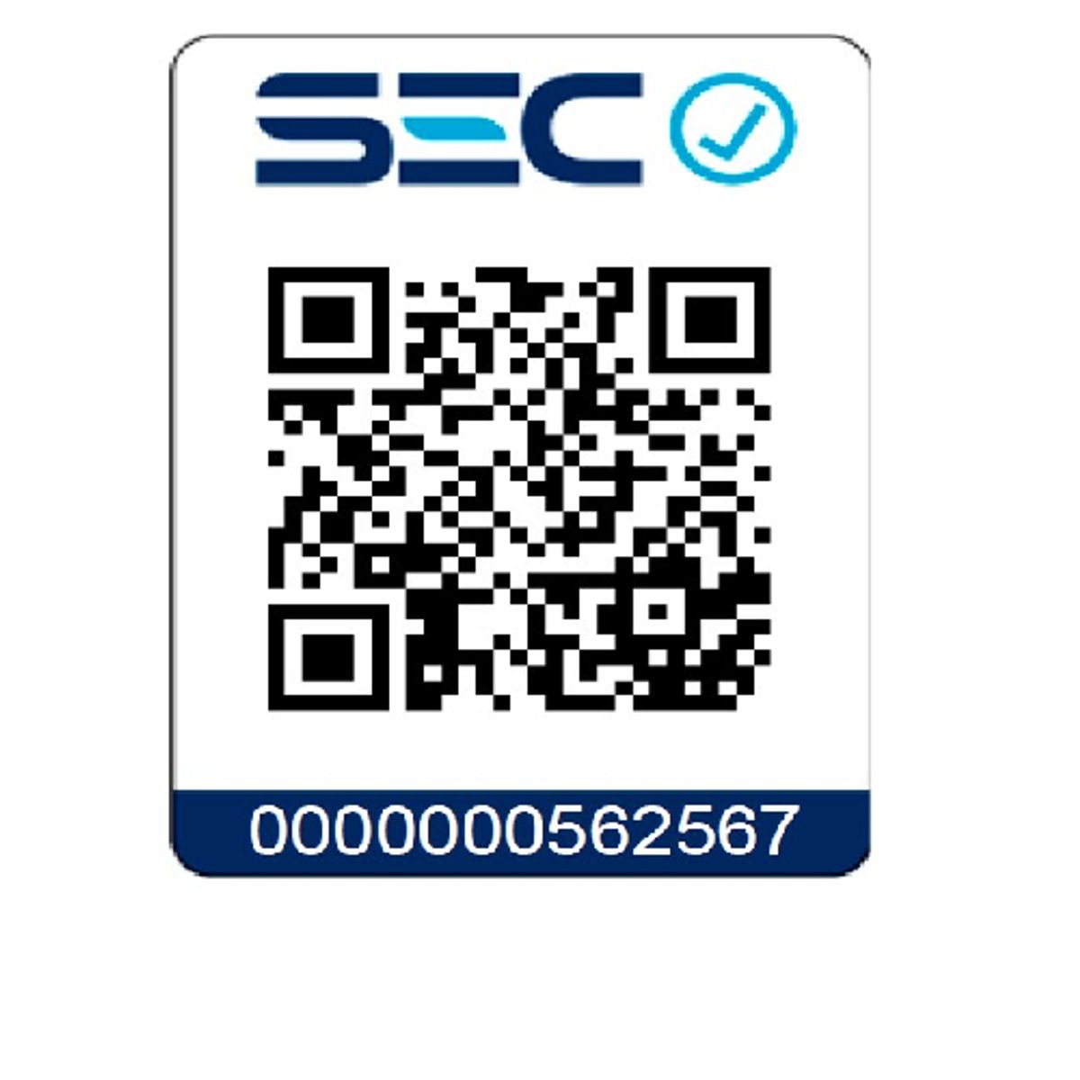 TOTAL TOOLS - Lijadora Roto Orbital+ Lijadora Yeso+ Pistola P Pintar Total