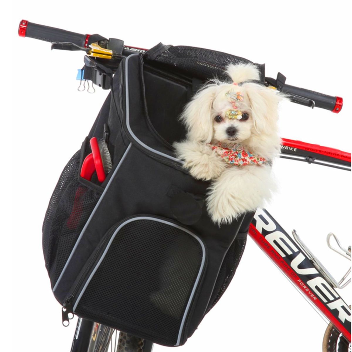 LIVE SPORT - Bolso De Bicicleta Para Mascota Black