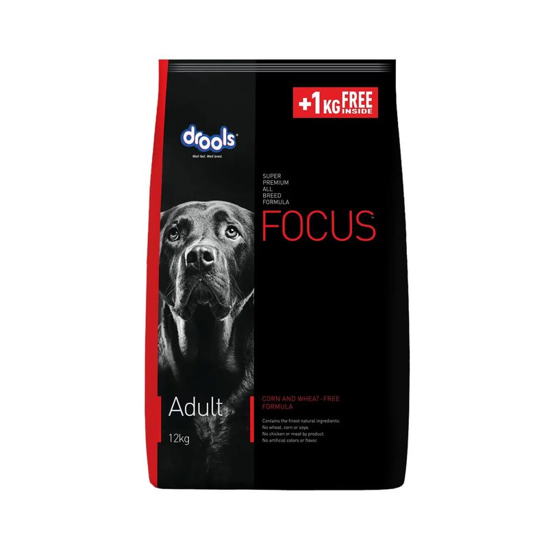 FOCUS - Focus Adulto