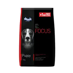 FOCUS - Puppy