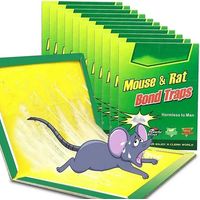 Trampa Raton Pegajosa Adhesiva X10 Control Atrapa Pegamento