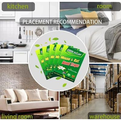 Imagen 2 del producto Trampa Raton Pegajosa Adhesiva X10 Control Atrapa Pegamento