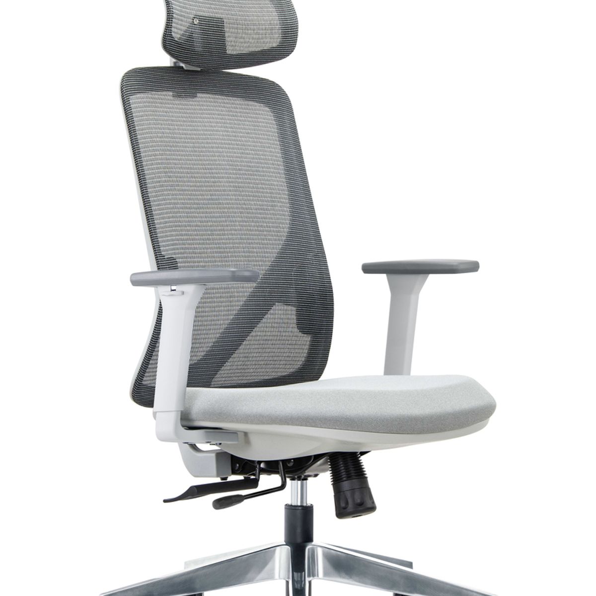 MODERNISMO - Silla Gerencial de oficina Placidita Plus Gris