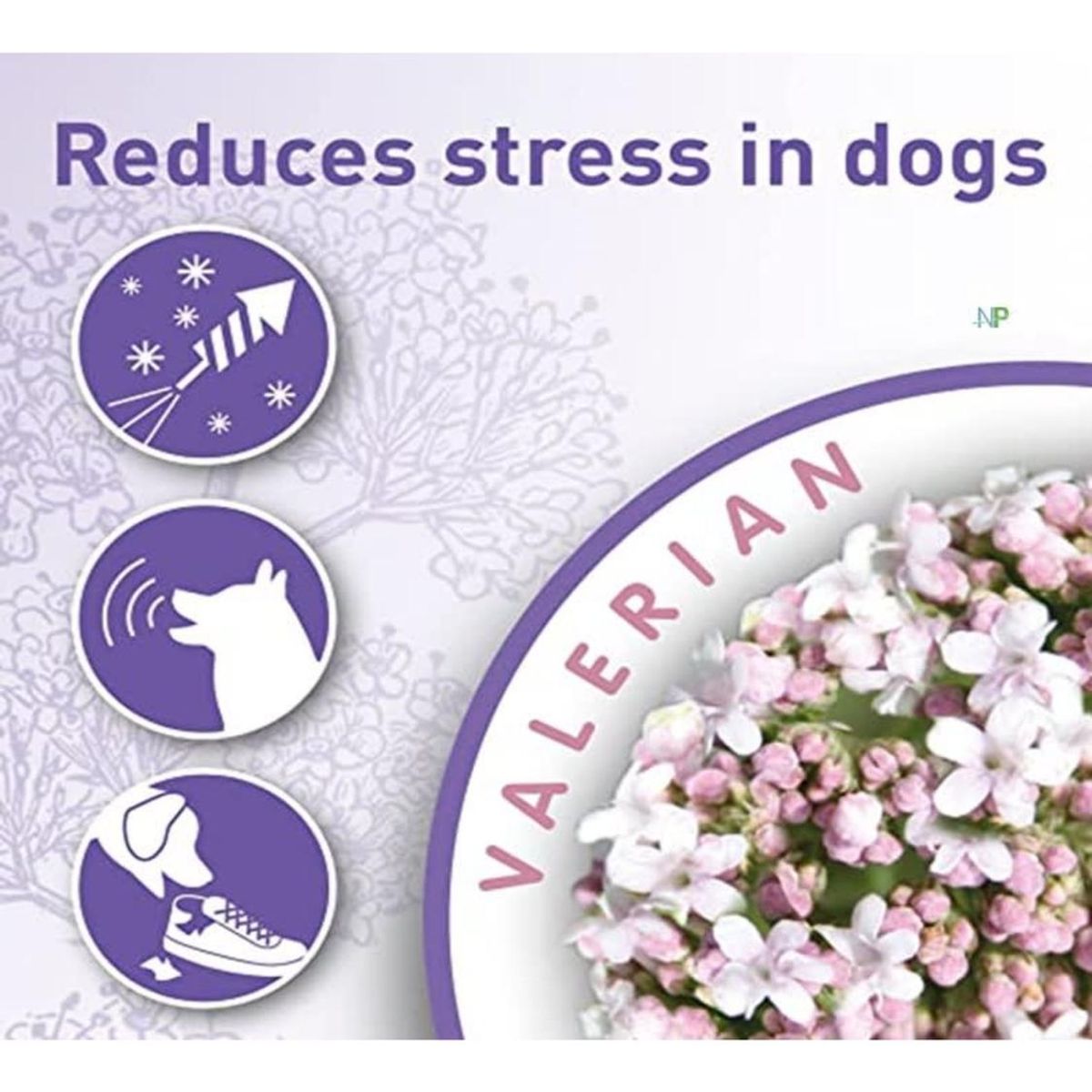 BEAPHAR - Collar Calming Beaphar 65 cm - Comportamiento Perros