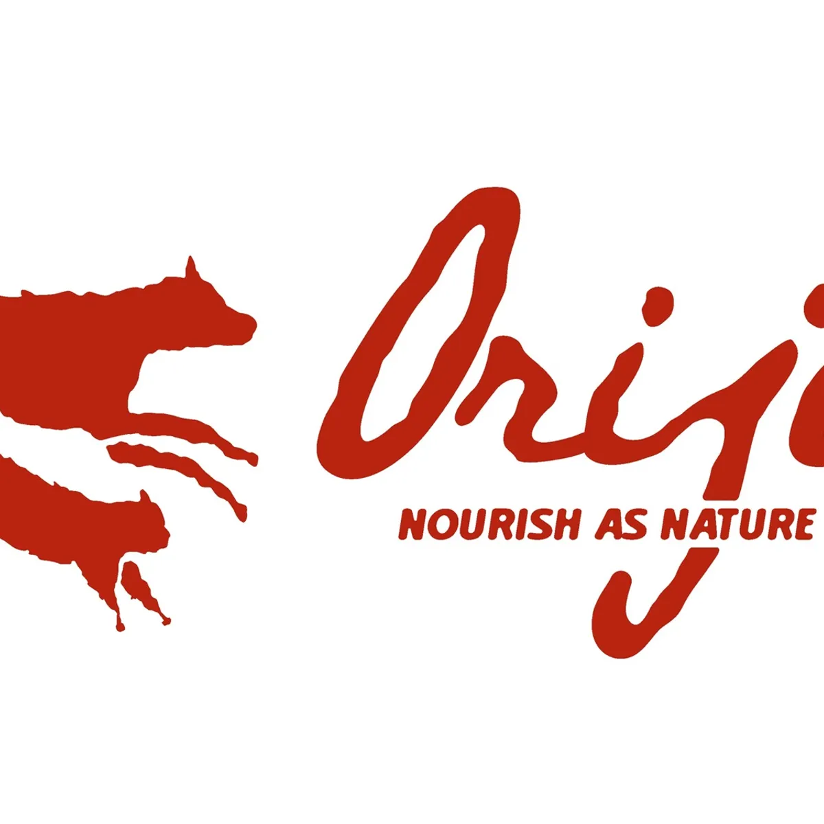 ORIJEN - Orijen - Original Senior Dog 2kg