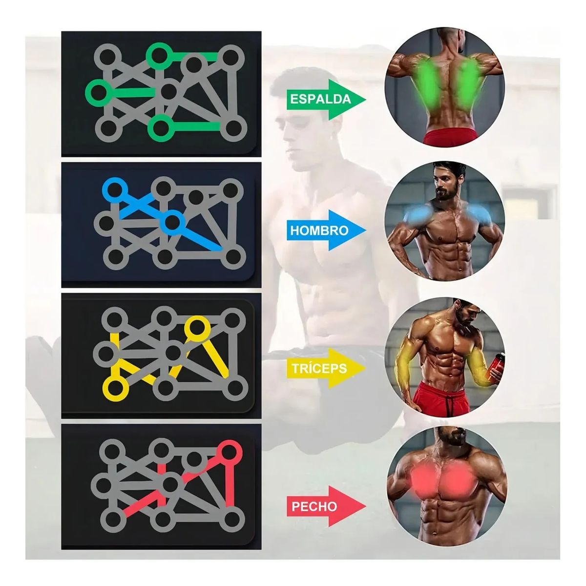 MOVI - TABLA DE FLEXIONES MULTIFUNCIONAL PLEGABLE