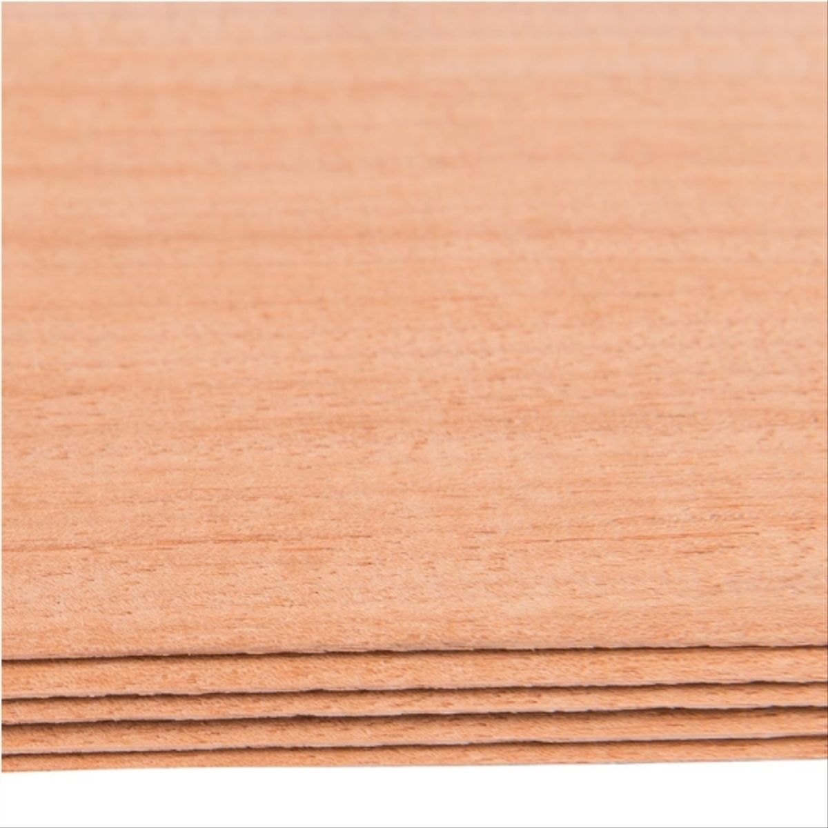 EPA - Chapa hoja lingue tropical 30mm 2,50mt 5 unidades