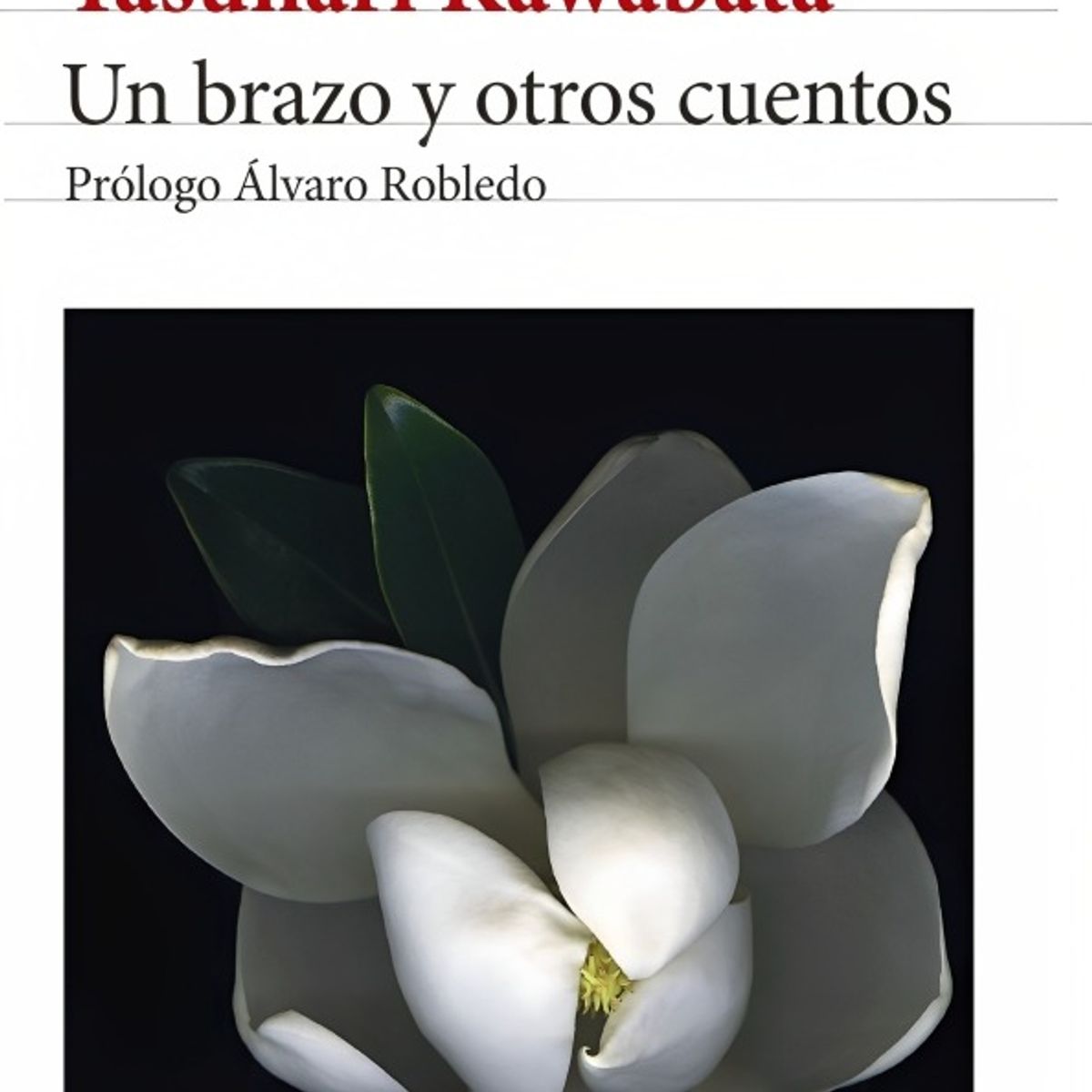 TOP10BOOKS - LIBRO Un Brazo Y Otros Cuentos. Edición 2024