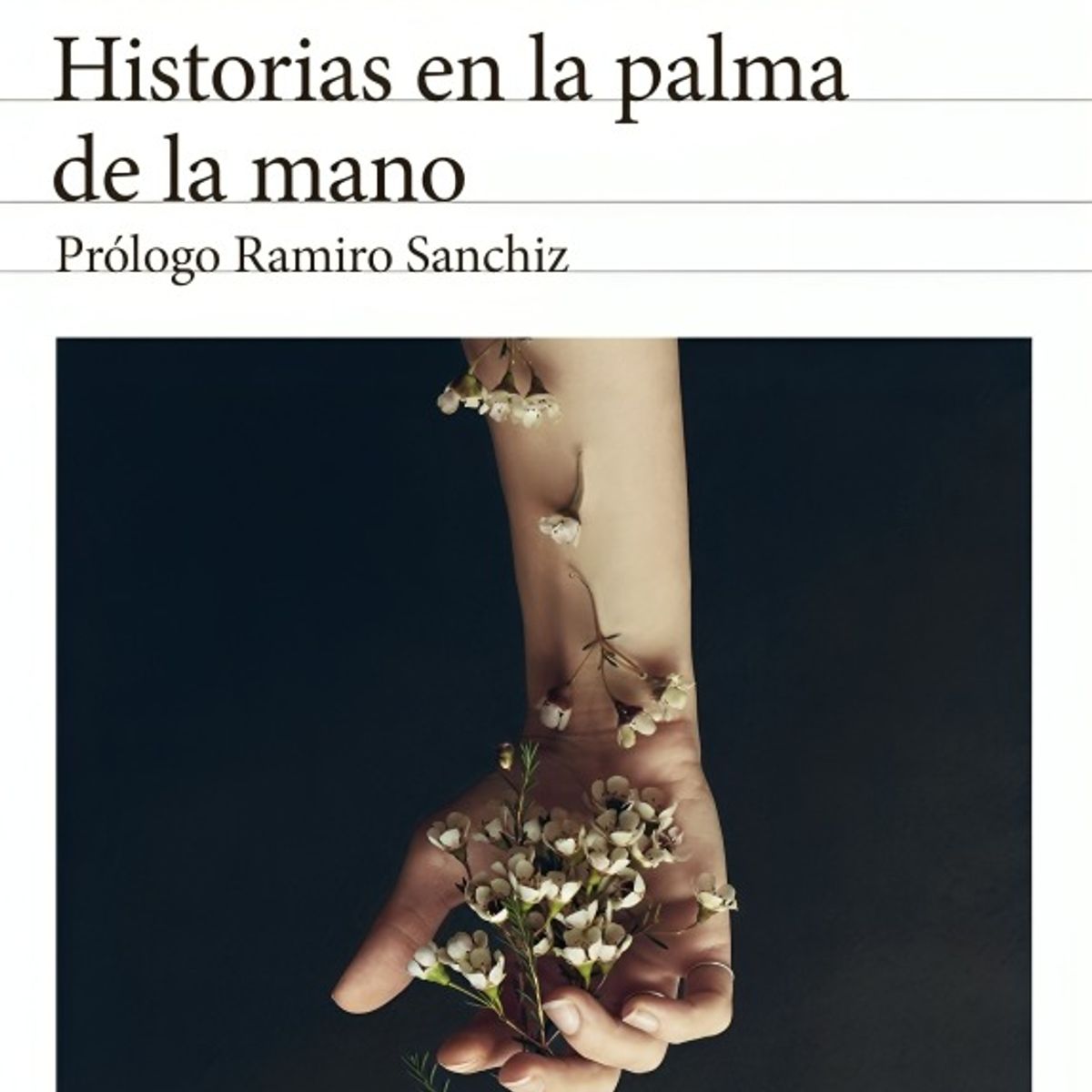 TOP10BOOKS - LIBRO Historias En La Palma De La Mano. Edición 2024