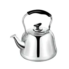 GENERICO - Tetera De Te Tetera De Agua Teteras Filtro Te Infusor 1.0 L