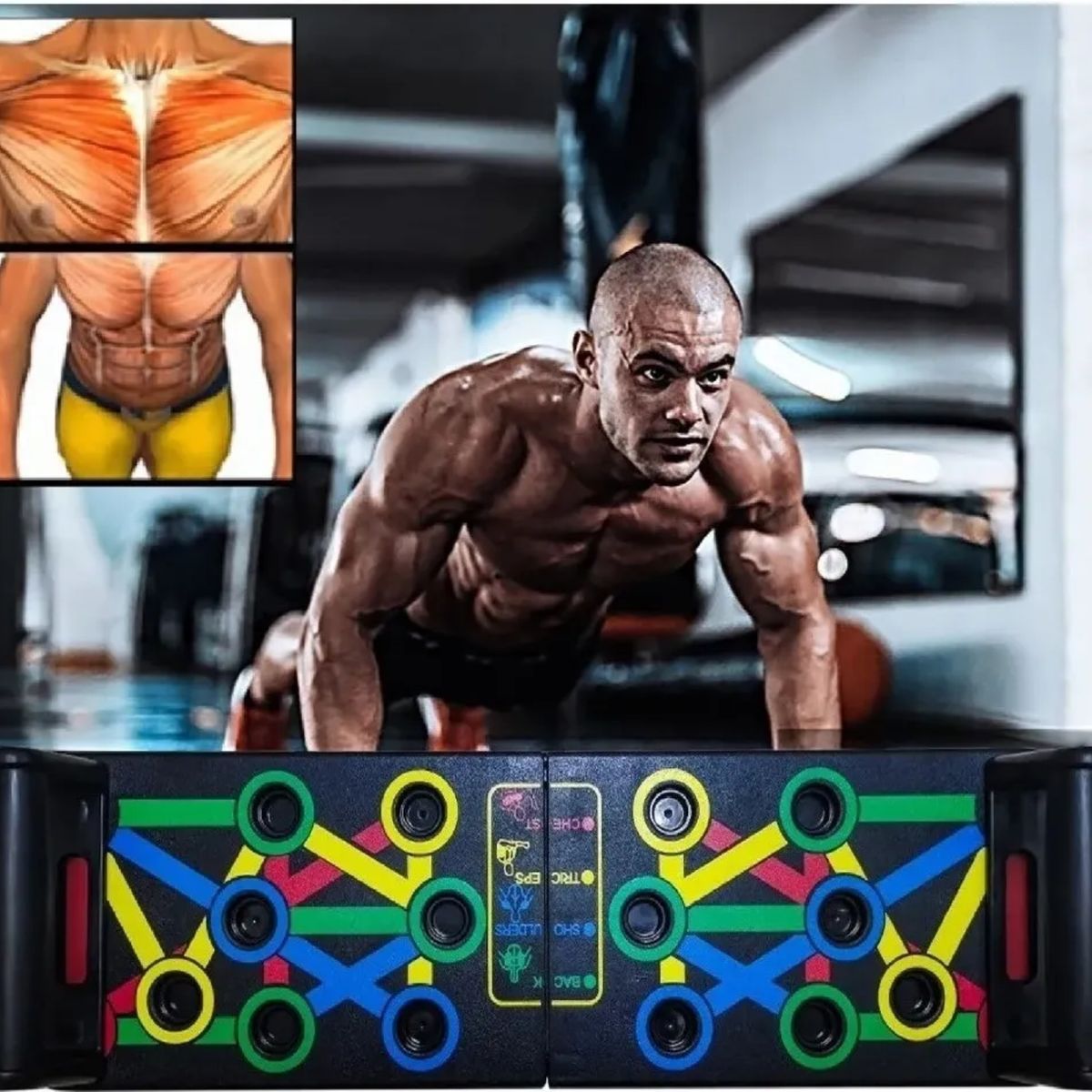 MOVI - Tabla para Flexiones Multiuso con 2 Asas Antideslizantes