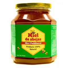 GENERICO - Miel Pura de Abejas Polifloral Pote 700 Grs.