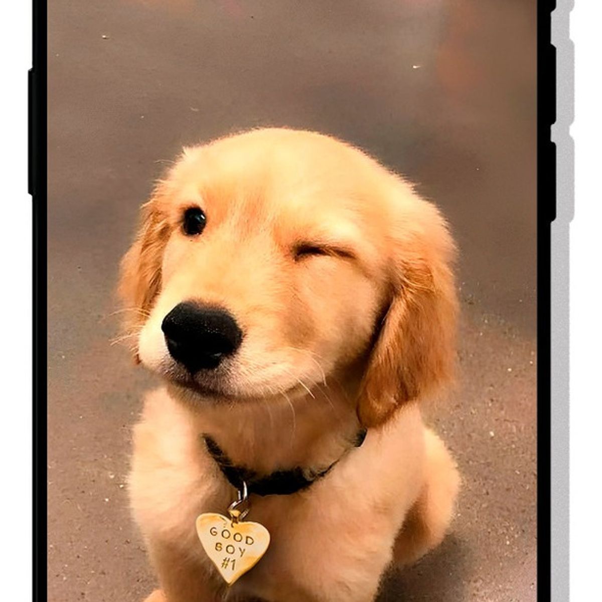 CARCASIA - Carcasa Funda para IPHONE 16e Diseño 37