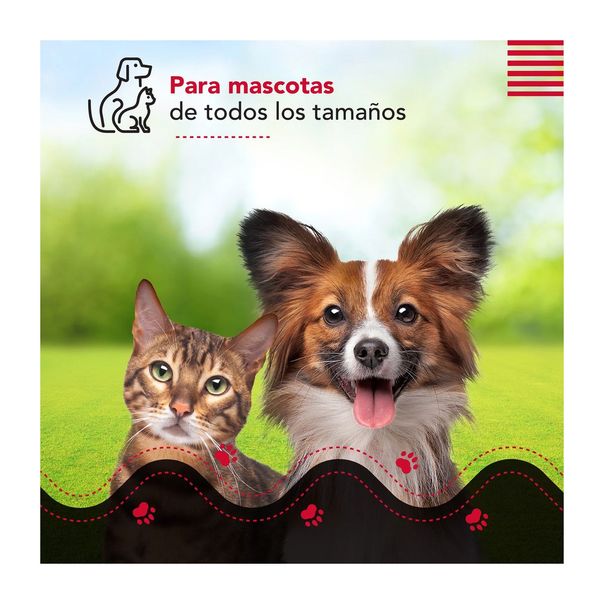 THORBEN - Cepillo y Aspiradora para Mascotas Thorben USB Perros Gatos