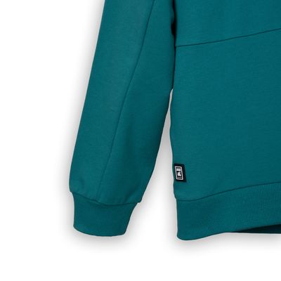 Imagen 2 del producto Polerón Niño Verde (PVC519-25VER8)