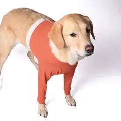 KIMBA - Polerón Cobre Protector Miembros Anteriores - Talla 8