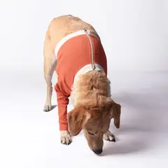 KIMBA - Polerón Cobre Protector Miembros Anteriores - Talla 15