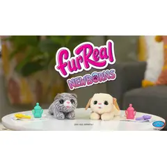 FURREAL FRIENDS - Furreal Newborn Surtido