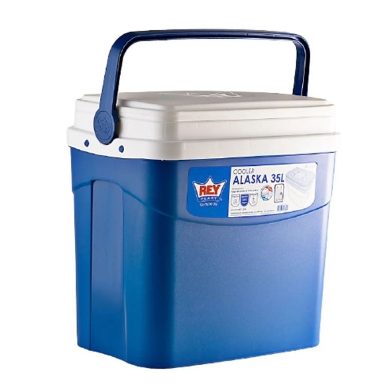 GENERICO - Cooler Nevera Cava Hielera Portátil 35 Litros Color Violeta