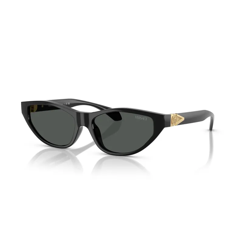 VERSACE - Versace VE4491U GB1/87 55