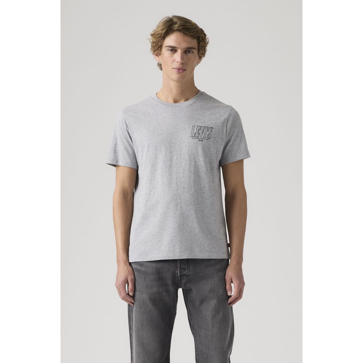 LEVIS - Polera Hombre Graphic Crewneck Tee Gris Levis