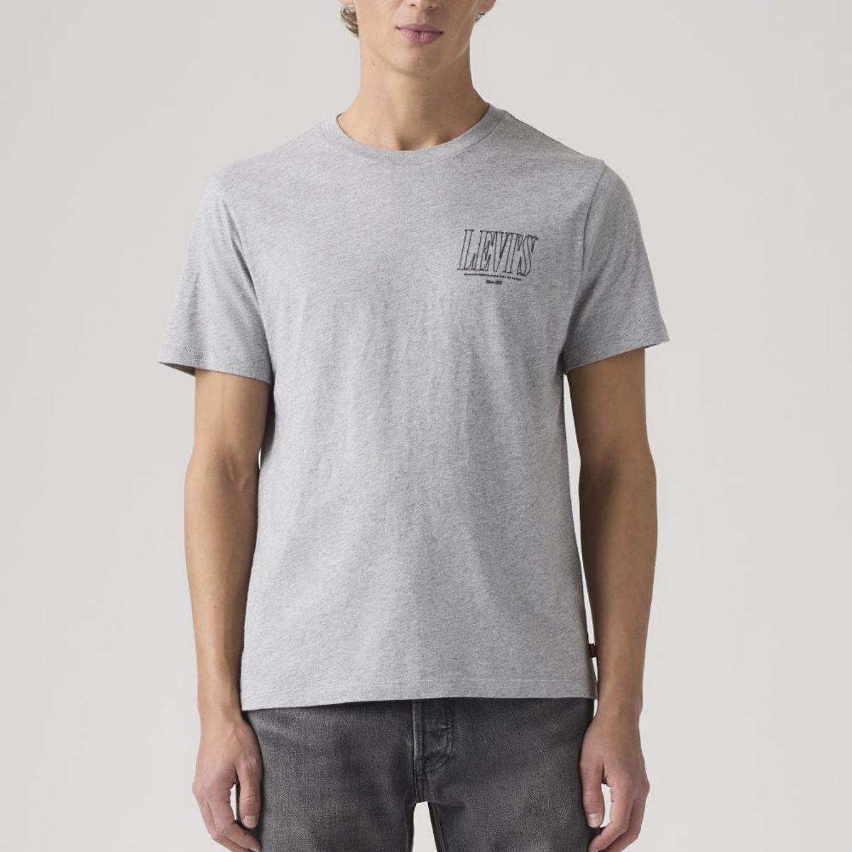 LEVIS - Polera Hombre Graphic Crewneck Tee Gris Levis