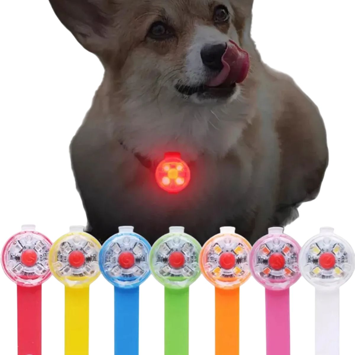 GENERICO - Collar Con Luz Led Carga Usb Perros Gatos