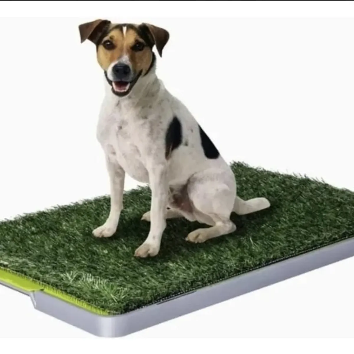 POTTY PATCH - Baño Ecologico de Entrenamiento Para Mascotas Perro Gatos