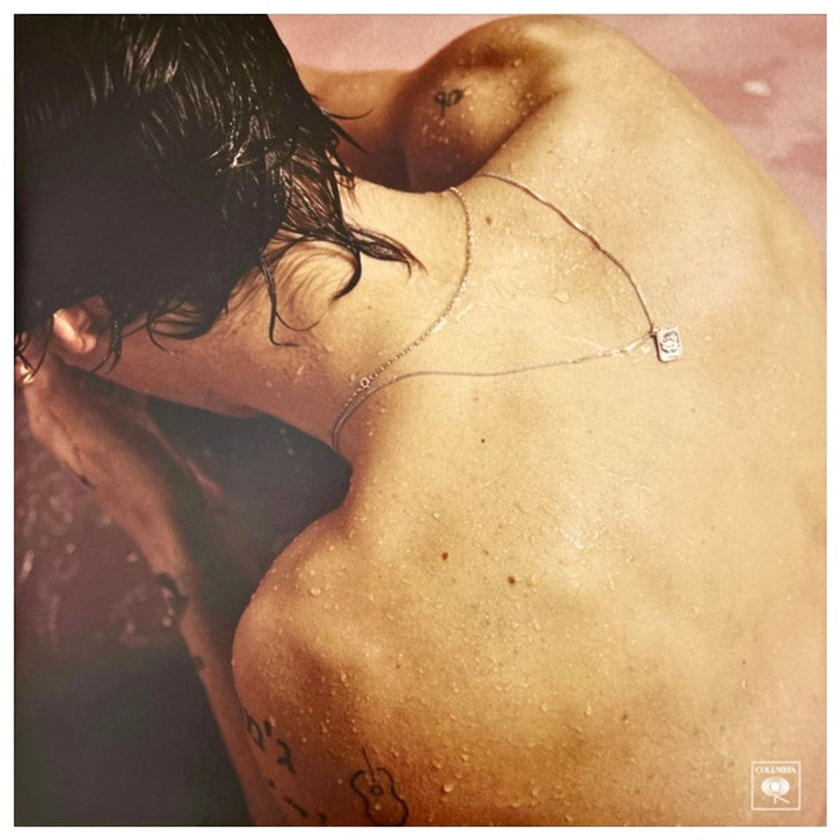 GENERICO - HARRY STYLES - HARRY STYLES / VINILO
