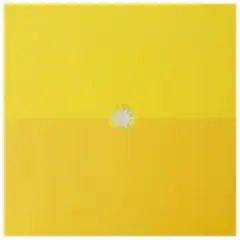 GENERICO - GUSTAVO CERATI - AMOR AMARILLO (2LP) / VINILO