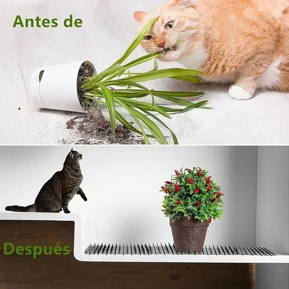 GENERICO - Pack 12 Alfombrillas Repelentes De Mascotas Anti-cat Pot