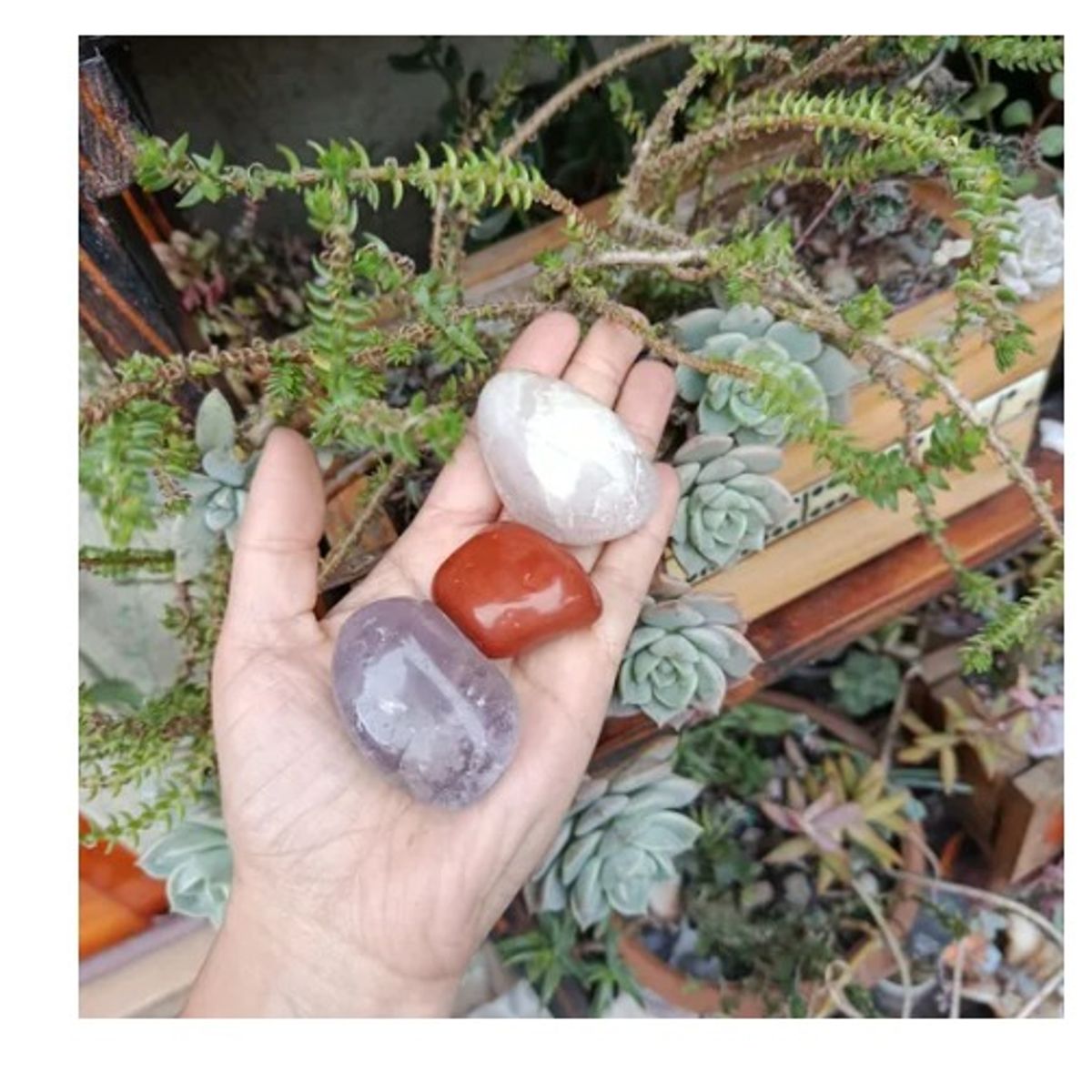 GENERICO - Set 3 Piedras Energéticas Naturales Amatista cuarzo rosado y jaspe rojo