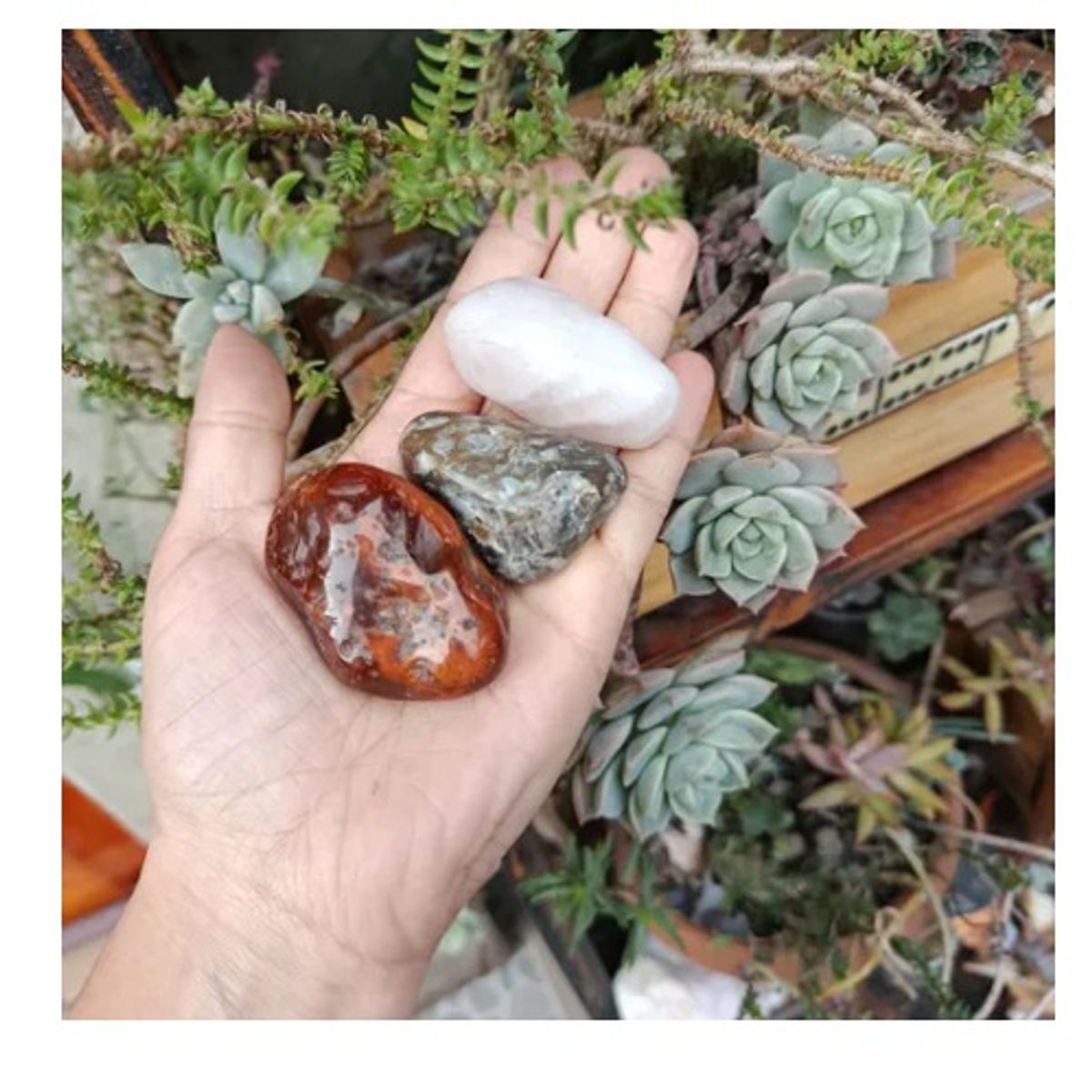 GENERICO - Set 3 Piedras Energéticas Naturales Calcedonia cuarzo rosa y cornalina