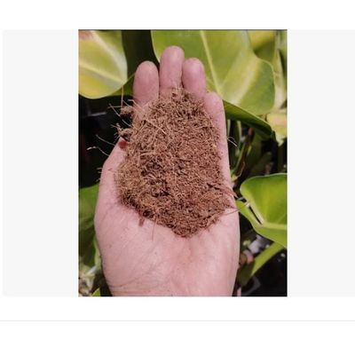 Imagen 2 del producto Fibra De Coco Natural, 1 Lts.