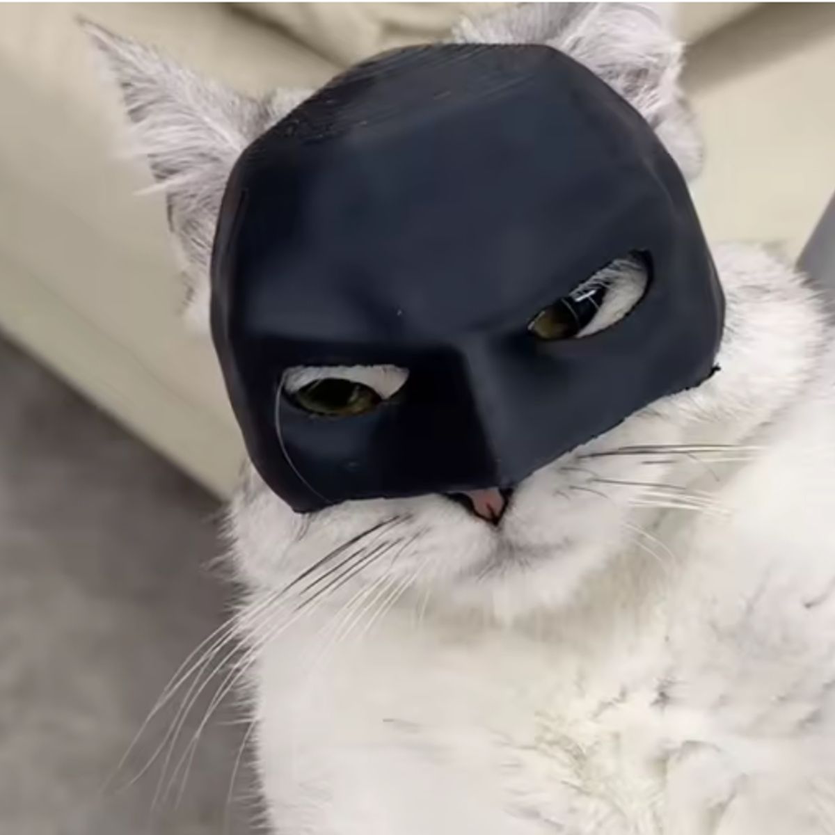 PROMETEO STUDIO - Casco gato Batman colección Perrolio color negro