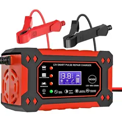 PROWAY - Cargador De Batería Rápido 12v 24v Gel Agm Ciclo Profundo