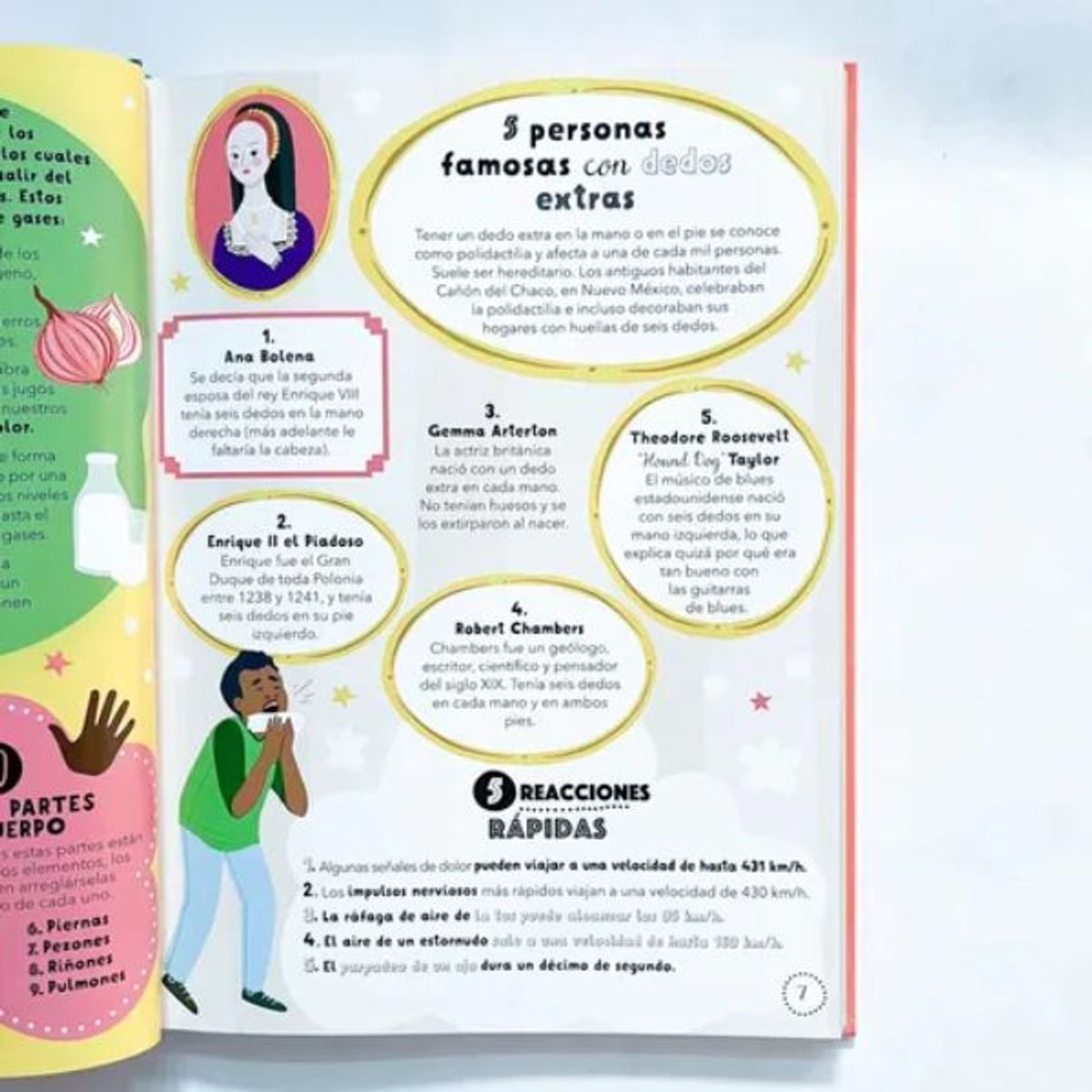 CONTRAPUNTO - El Gran Libro De Listas Curiosas Del Cuerpo Humano