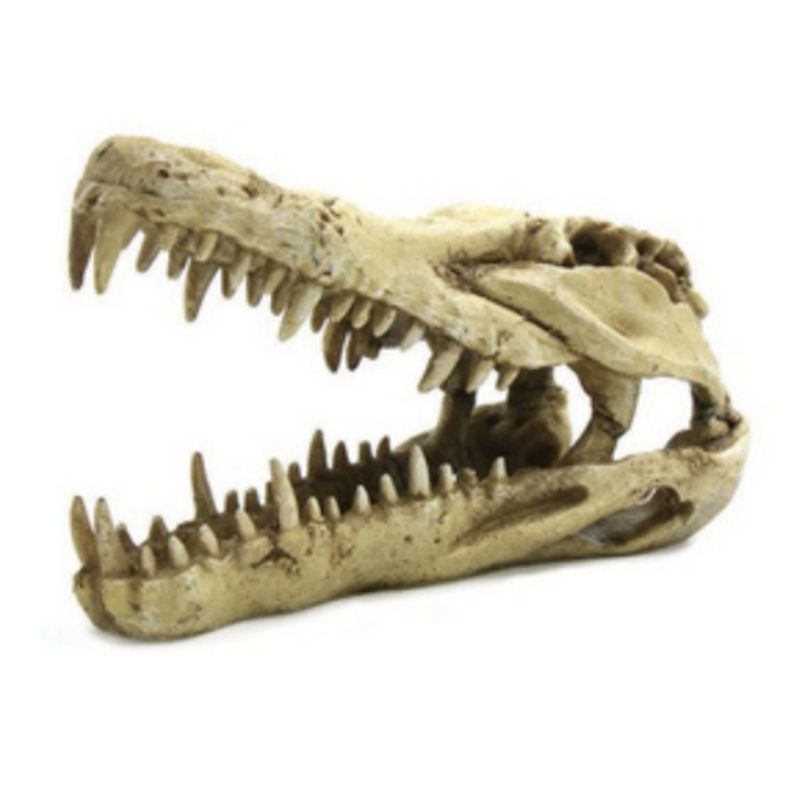MARBEN PETS - ADORNO CRANEO DE RESINA PARA ACUARIO Y TERRARIO