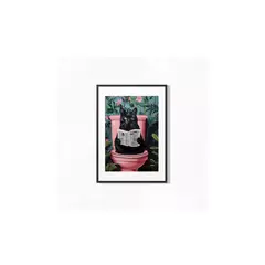 GENERICO - Cuadro 42x52 Poster Gato en el Baño