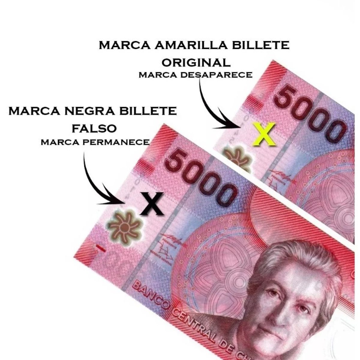 GENERICO - Pack 10 Plumón Lápiz Detector De Billetes Falsos Tester Pen
