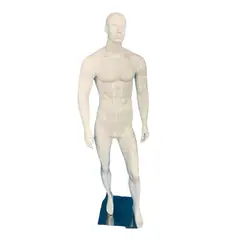 GENERICO - Maniqui Masculino Blanco Cuerpo Completo Gms