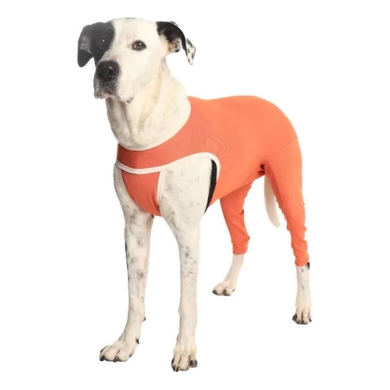 KIMBA - Body Cobre Kimba Posterior Post-operatorio T5 (7.5 A 10 Kg)