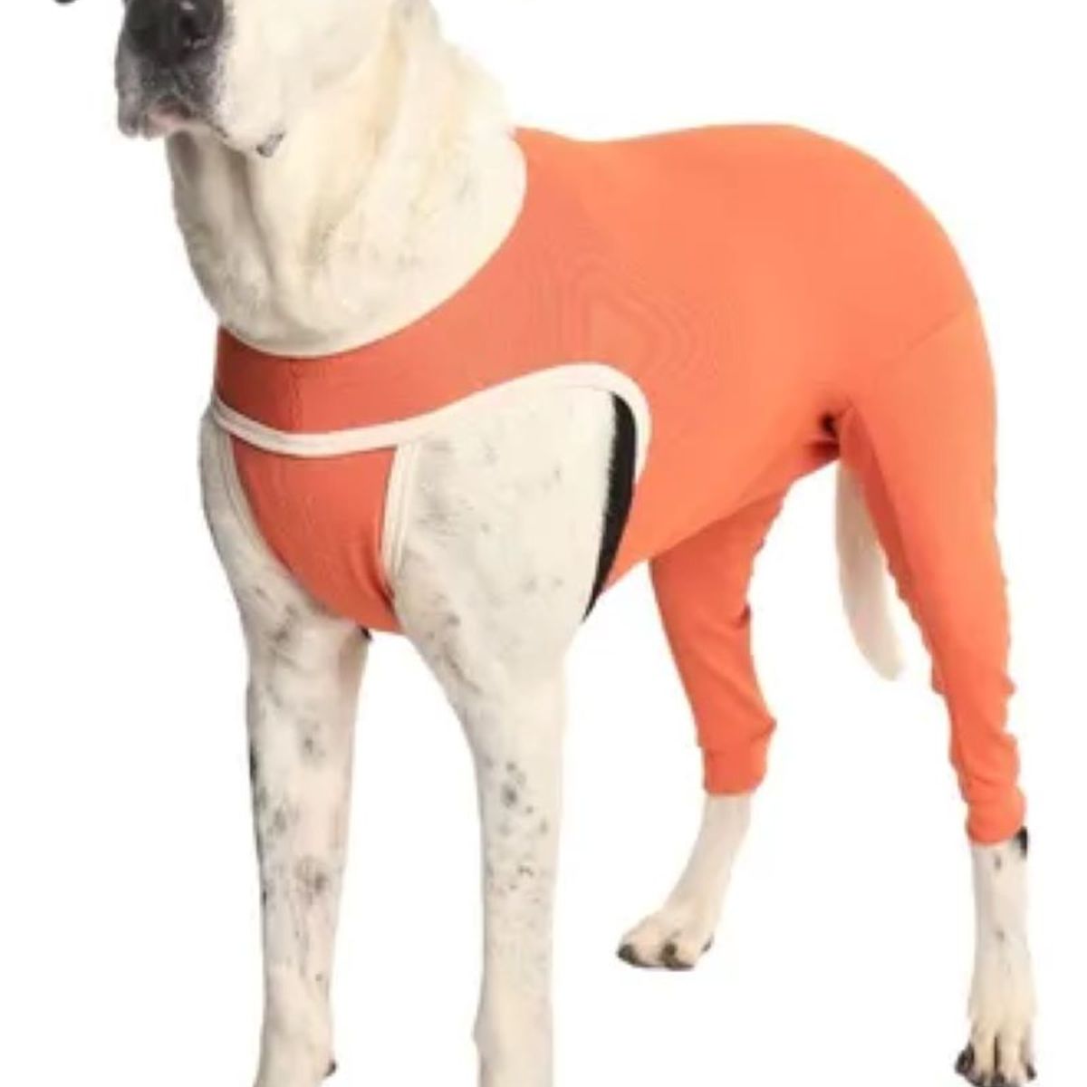 KIMBA - Body Cobre Kimba Posterior Post-operatorio T10 (25 A 30 Kg)