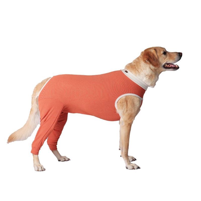 KIMBA - Body Cobre Kimba Posterior Post-operatorio T12 (35 A 40 Kg)