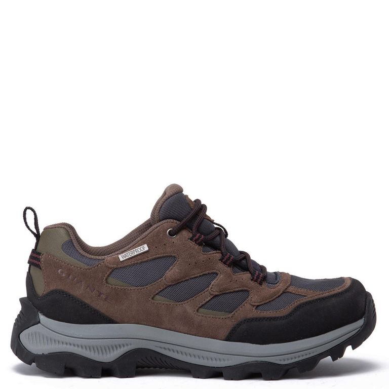 Zapato - Tolten - - Chocolate