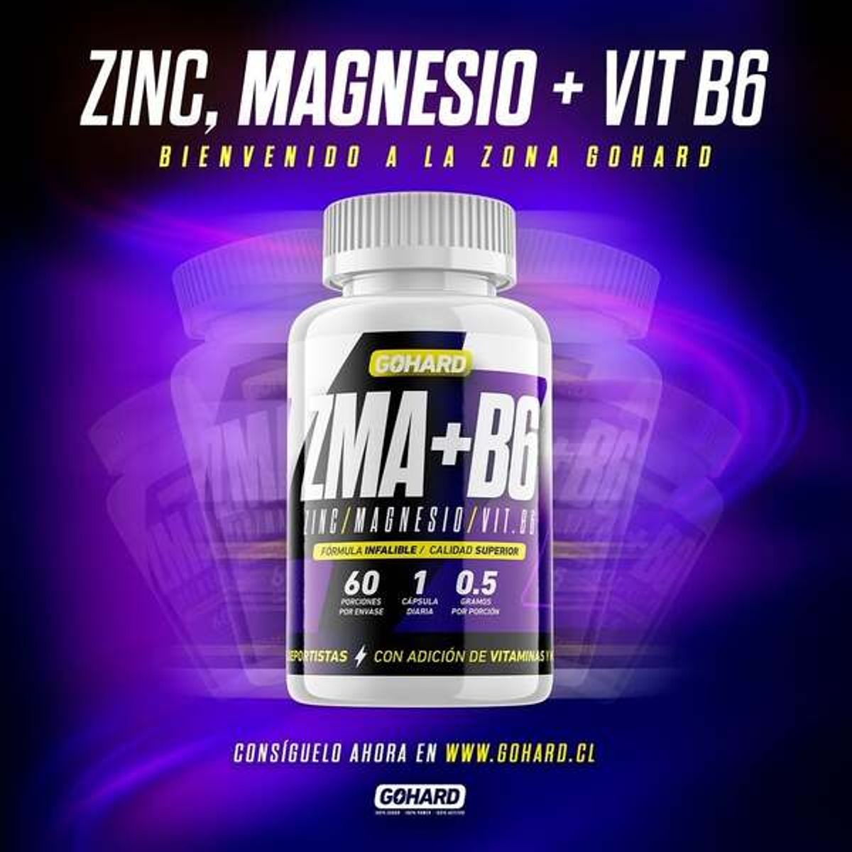 GOHARD - ZMA + B6 - Gohard (Zinc, Magnesio, Vitamina B6) - 60 Cápsula
